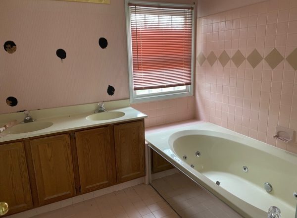 Before: Bathroom renovation project